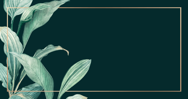 WEBSITE MAIN HEADER 03