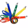 Lanyard